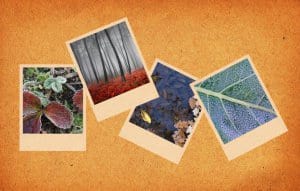 Photoxpress_5855418-300x191