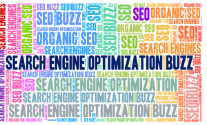 Achieve a higher search ranking with these SEO Denver tips.