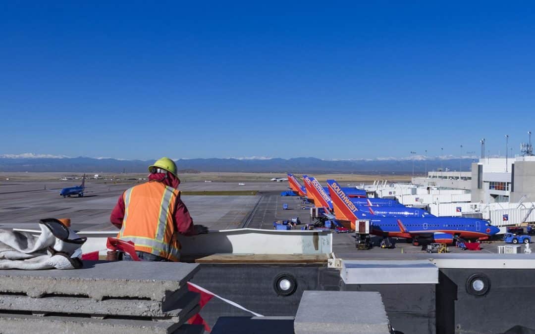 What the Rise of Voice Search Means for SEO