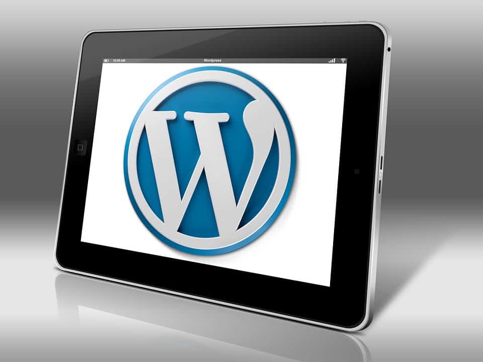 6 Reasons To Use Wordpress For Your Business’s Website